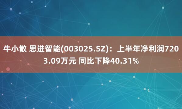 牛小散 思进智能(003025.SZ)：上半年净利润7203.09万元 同比下降40.31%